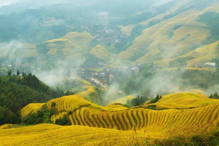 桂林漓江阳朔•龙脊梯田•遇龙河竹筏•尧山 四天三晚精品游 【纯净龙脊】