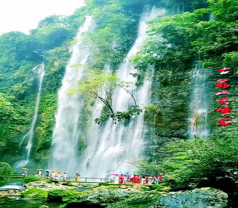 德天跨国大瀑布•古龙山大峡谷•2天1晚游【北海出发-北海散团】