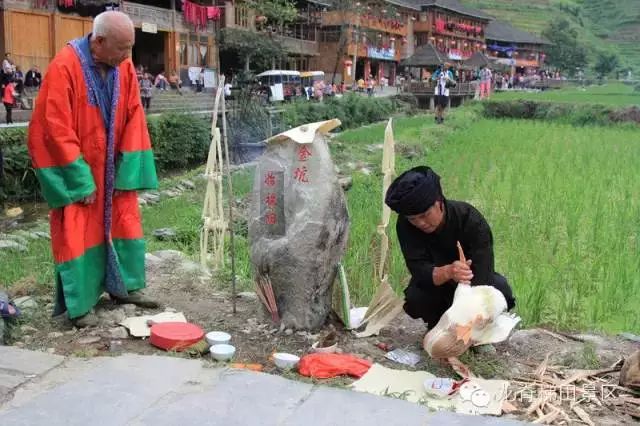 供奉始祖田—祭祖祈福