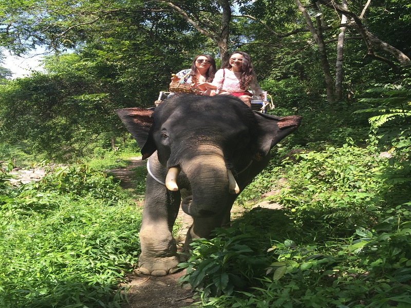骑乘大象