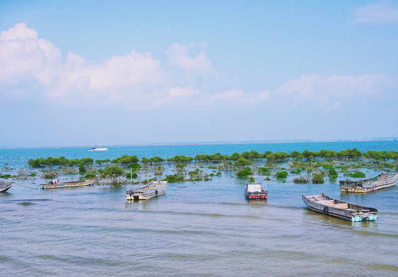 越南茶谷海滩