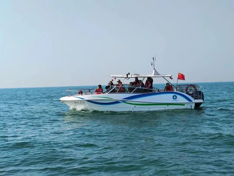 寻海豚船
